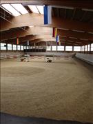 voltitag 2009 _CD2 011